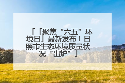 「聚焦“六五”环境日」最新发布！日照市生态环境质量状况“出炉”