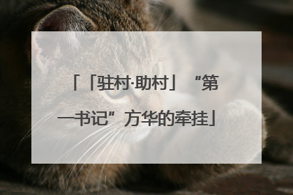 「驻村·助村」“第一书记”方华的牵挂