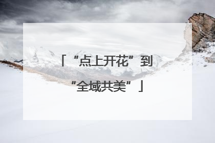 “点上开花”到“全域共美”
