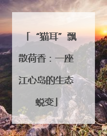 “猫耳”飘散荷香：一座江心岛的生态蜕变