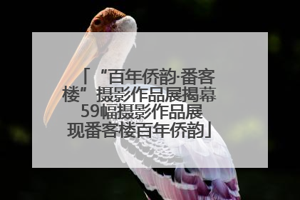 “百年侨韵·番客楼”摄影作品展揭幕 59幅摄影作品展现番客楼百年侨韵