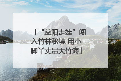 “益阳走娃”闯入竹林秘境 用小脚丫丈量大竹海