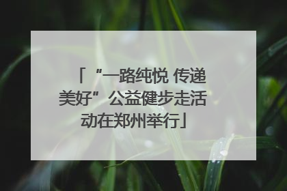 “一路纯悦 传递美好”公益健步走活动在郑州举行