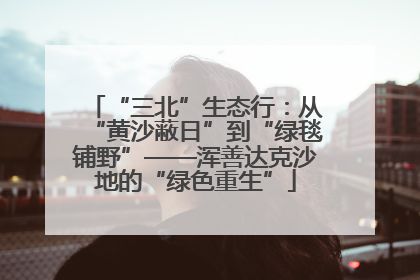 “三北”生态行：从“黄沙蔽日”到“绿毯铺野”——浑善达克沙地的“绿色重生”