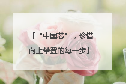 “中国芯”，珍惜向上攀登的每一步