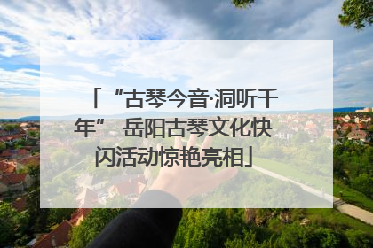 “古琴今音·洞听千年” 岳阳古琴文化快闪活动惊艳亮相