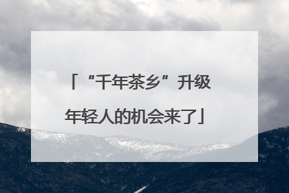 “千年茶乡”升级 年轻人的机会来了