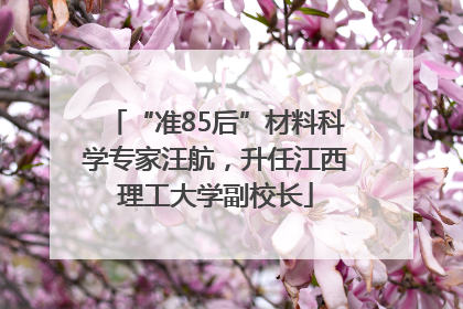“准85后”材料科学专家汪航，升任江西理工大学副校长