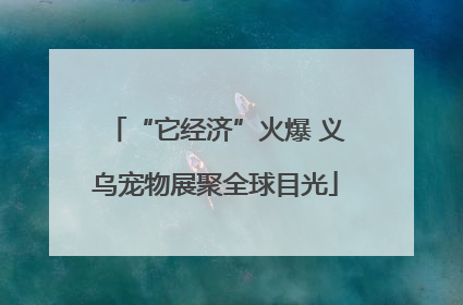 “它经济”火爆 义乌宠物展聚全球目光