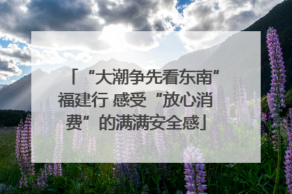 “大潮争先看东南”福建行 感受“放心消费”的满满安全感