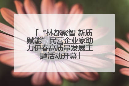 “林都聚智 新质赋能”民营企业家助力伊春高质量发展主题活动开幕