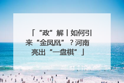 “政”解丨如何引来“金凤凰”？河南亮出“一盘棋”