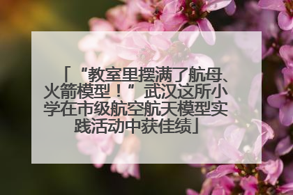 “教室里摆满了航母、火箭模型！”武汉这所小学在市级航空航天模型实践活动中获佳绩