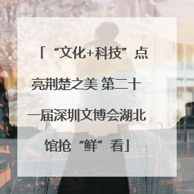 “文化+科技”点亮荆楚之美 第二十一届深圳文博会湖北馆抢“鲜”看