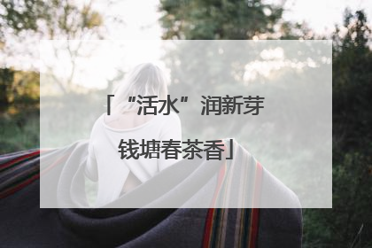 “活水”润新芽 钱塘春茶香
