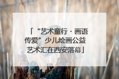 “艺术童行・画语传爱”少儿绘画公益艺术汇在西安落幕