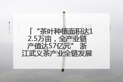 “茶叶种植面积达12.5万亩，全产业链产值达57亿元” 浙江武义茶产业全链发展“加速度”