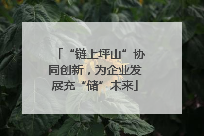 “链上坪山”协同创新，为企业发展充“储”未来