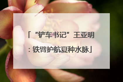 “铲车书记”王亚明：铁臂护航夏种水脉