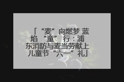 “麦”向燃梦 蓝焰 “童” 行：浦东消防与麦当劳献上儿童节“六一”礼