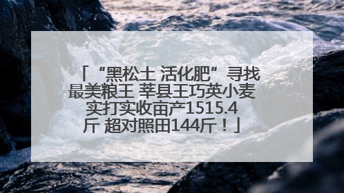 “黑松土 活化肥”寻找最美粮王 莘县王巧英小麦实打实收亩产1515.4斤 超对照田144斤！