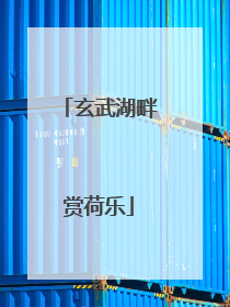 玄武湖畔赏荷乐