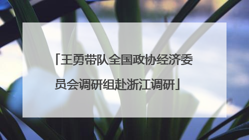 王勇带队全国政协经济委员会调研组赴浙江调研