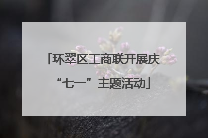 环翠区工商联开展庆“七一”主题活动