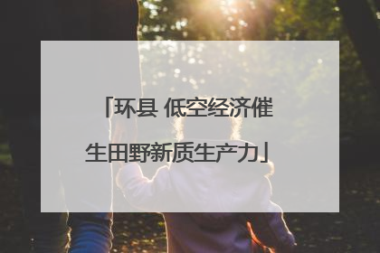 环县 低空经济催生田野新质生产力