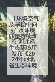 环境空气质量稳中向好 水环境质量持续改善 河北省生态环境厅发布《2024年河北省生态环境状况公报》
