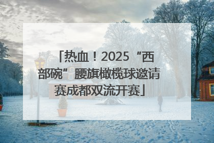 热血！2025“西部碗”腰旗橄榄球邀请赛成都双流开赛