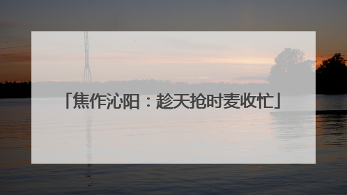 焦作沁阳：趁天抢时麦收忙