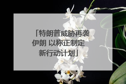 特朗普威胁再袭伊朗 以称正制定新行动计划
