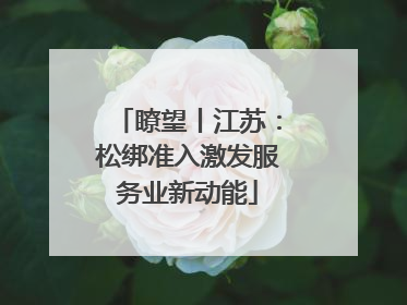瞭望丨江苏：松绑准入激发服务业新动能