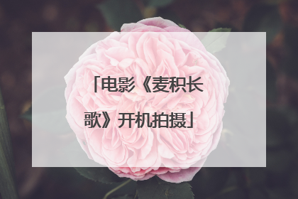 电影《麦积长歌》开机拍摄