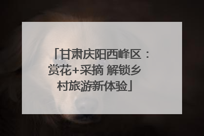 甘肃庆阳西峰区：赏花+采摘 解锁乡村旅游新体验