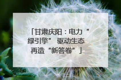 甘肃庆阳：电力“绿引擎” 驱动生态再造“新答卷”
