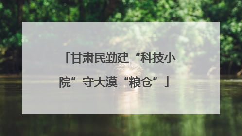 甘肃民勤建“科技小院”守大漠“粮仓”