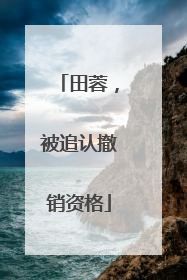 田蓉，被追认撤销资格