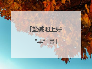 盐碱地上好“丰”景