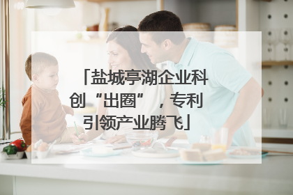 盐城亭湖企业科创“出圈”，专利引领产业腾飞