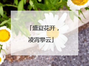 盛夏花开，凌霄攀云