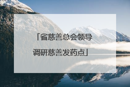 省慈善总会领导调研慈善发药点