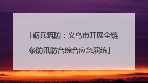 砺兵筑防：义乌市开展全链条防汛防台综合应急演练