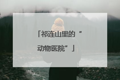 祁连山里的“动物医院”