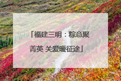 福建三明：粽意聚菁英 关爱暖征途