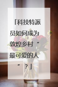 科技特派员如何成为敦煌乡村“最可爱的人”？