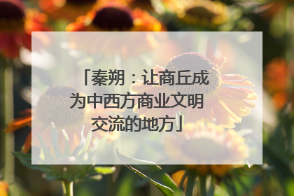 秦朔：让商丘成为中西方商业文明交流的地方