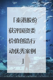 秦港股份获评国资委价值创造行动优秀案例