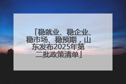 稳就业、稳企业、稳市场、稳预期，山东发布2025年第二批政策清单